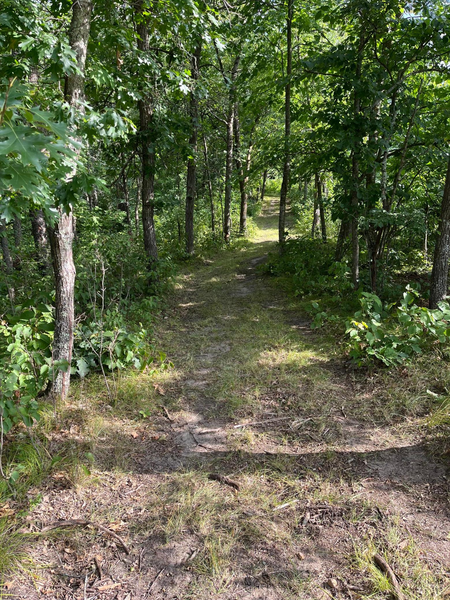 land for sale at 17907 County 81 in Park Rapids, MN (photo 28 of 31)