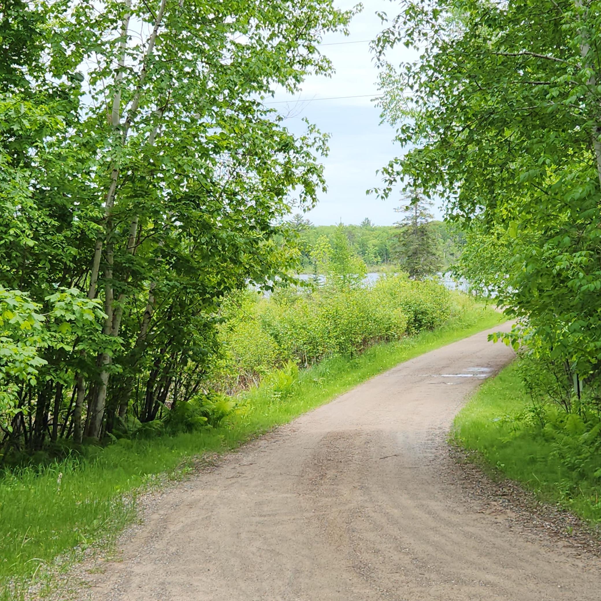 land for sale at 3157 4th Avenue NW in Longville, MN (photo 2 of 9)