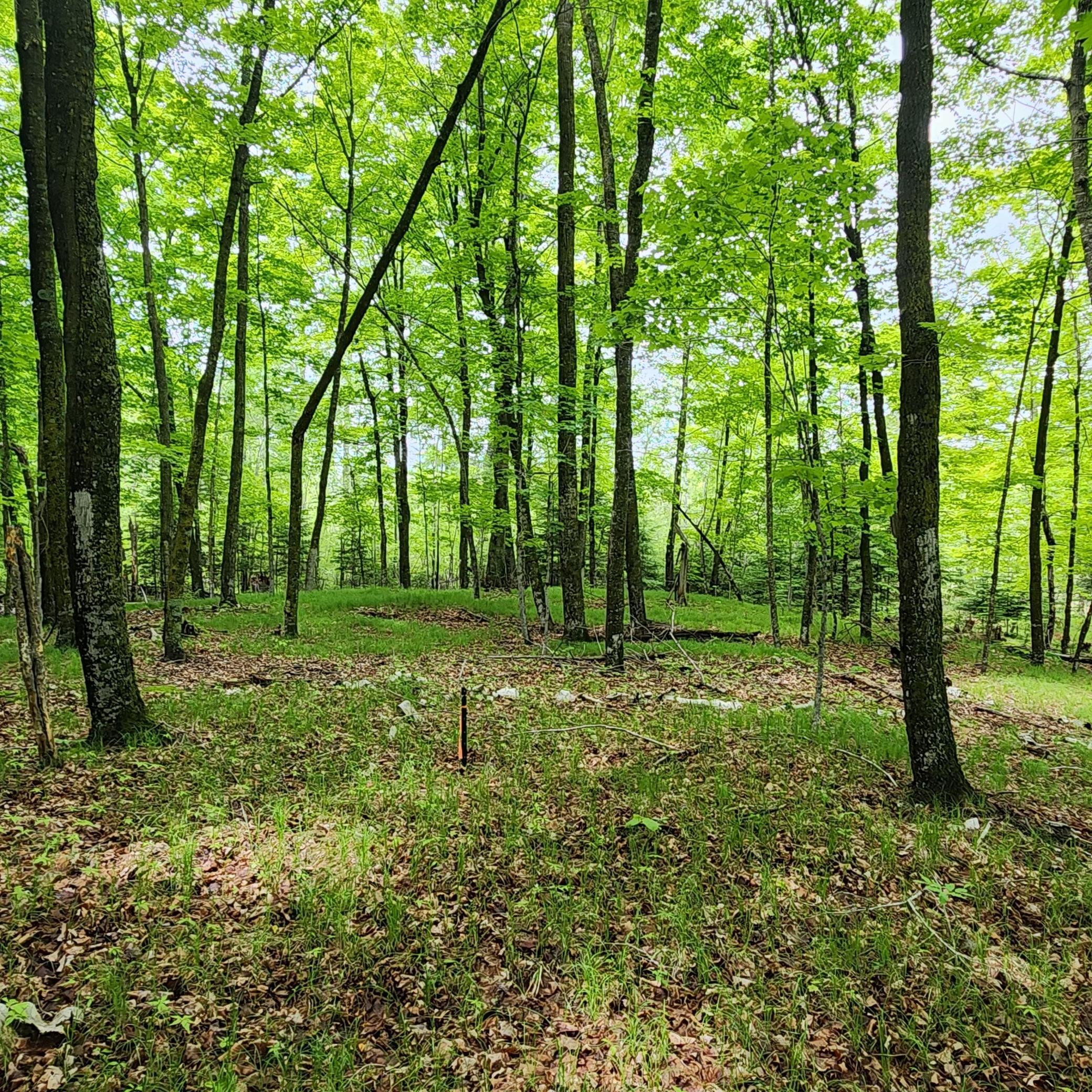 land for sale at 3157 4th Avenue NW in Longville, MN (photo 7 of 9)