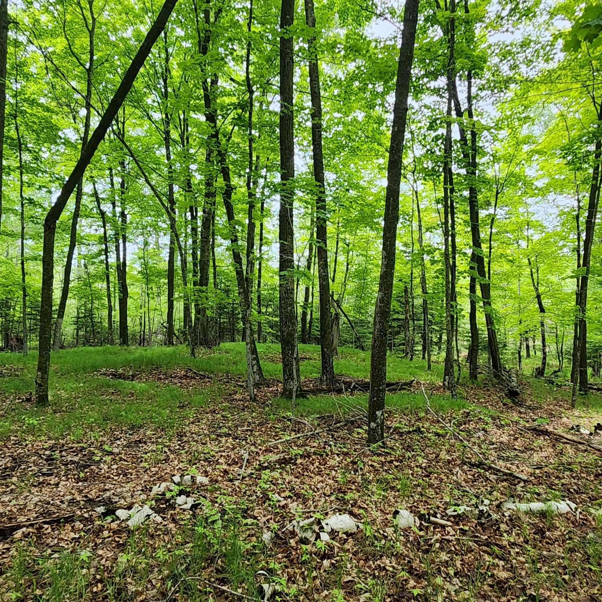 land for sale at 3157 4th Avenue NW in Longville, MN (photo 8 of 9)