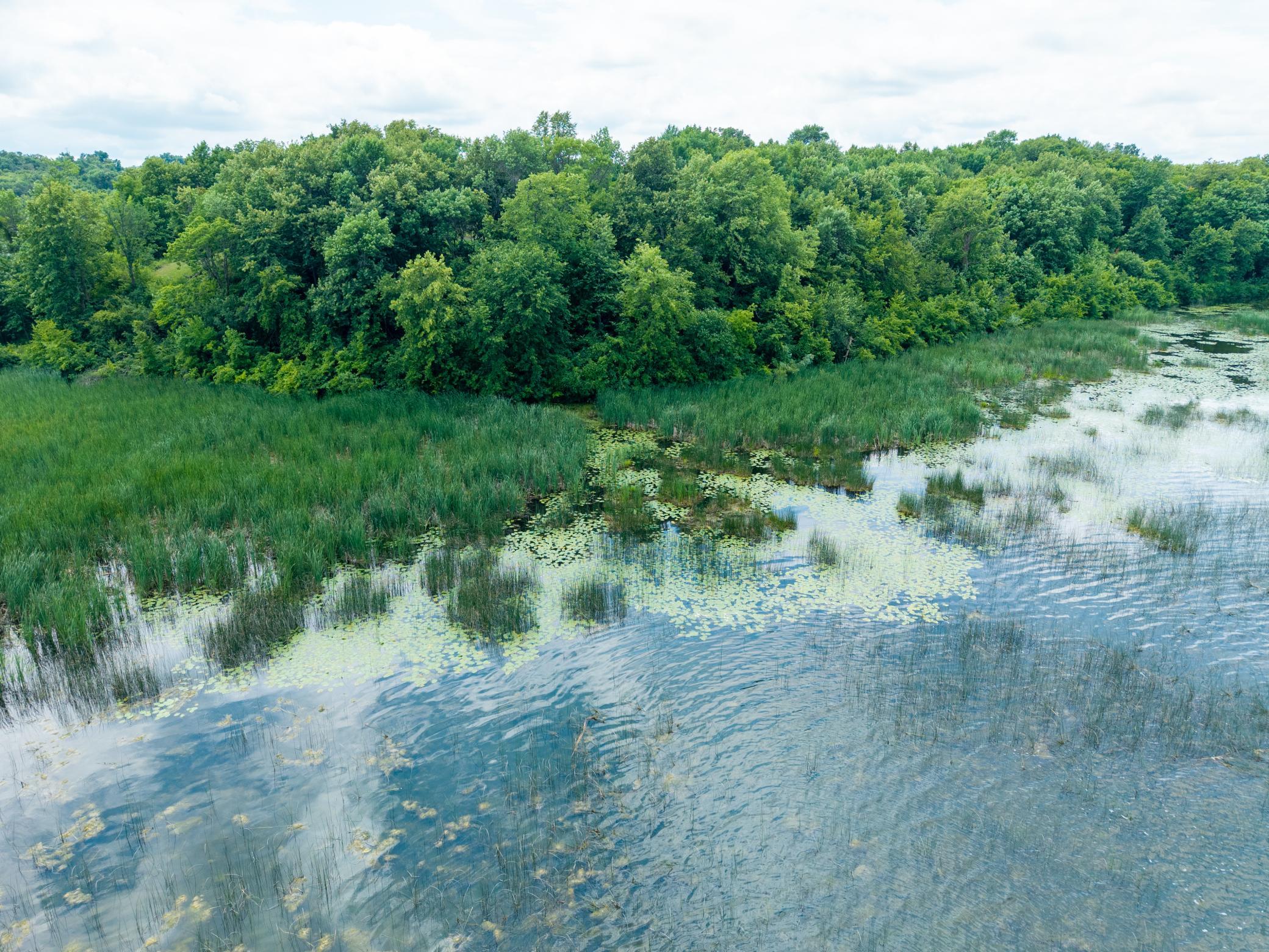 land for sale at Lot 11 W Stalker Road in Dalton, MN (photo 13 of 15)