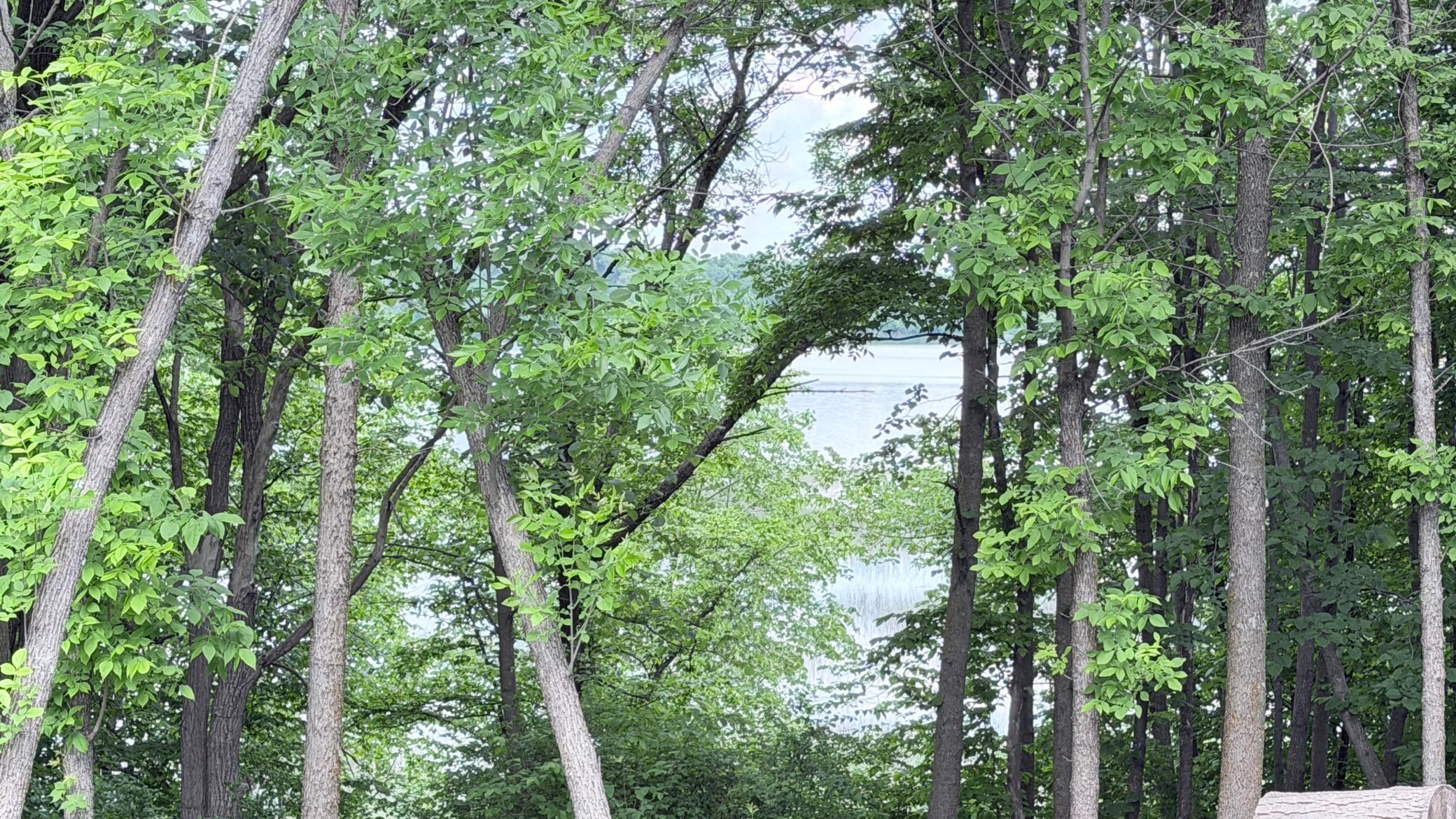 land for sale at Lot 11 W Stalker Road in Dalton, MN (photo 6 of 15)