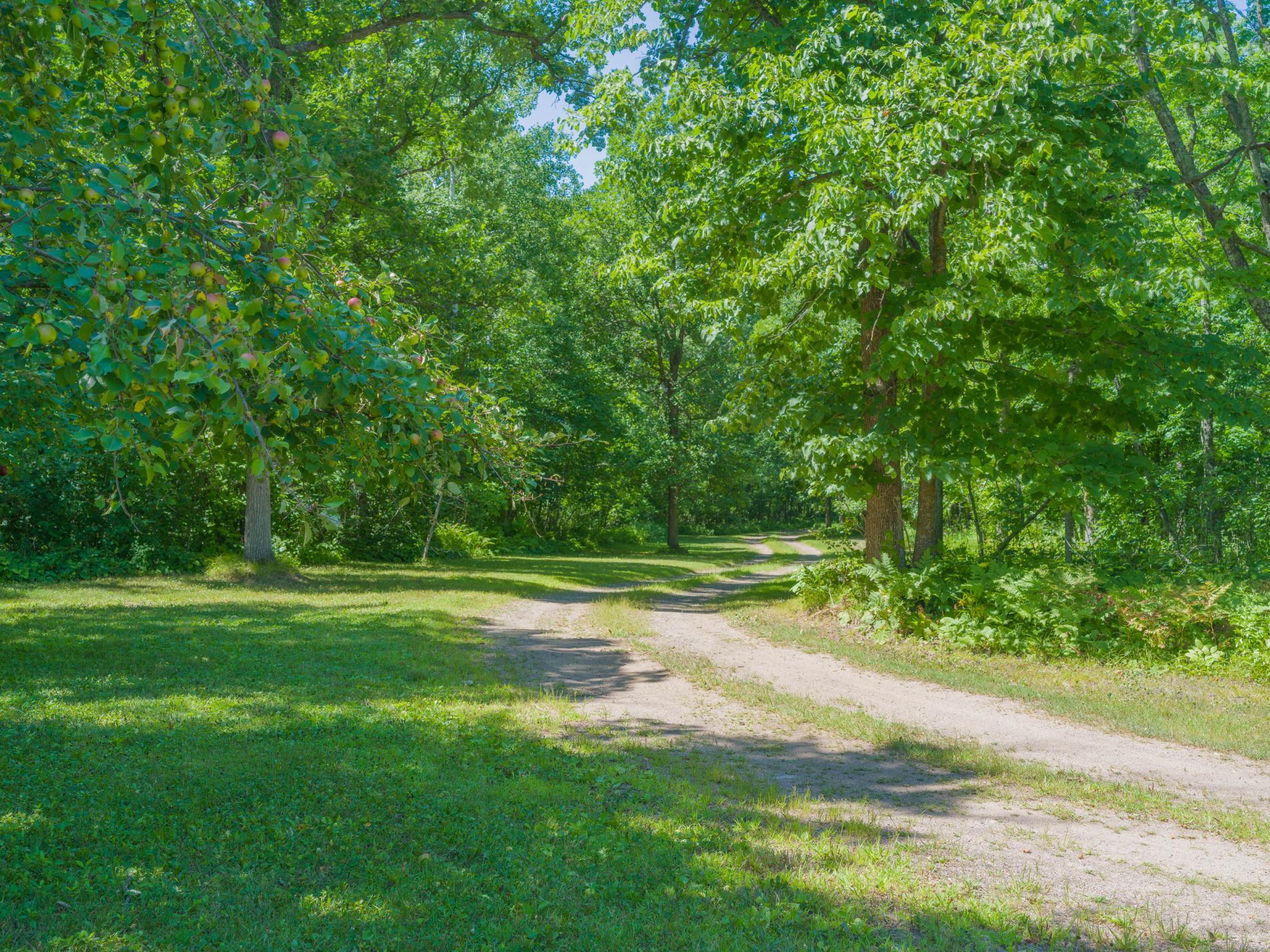 2000 single family home for sale at 24256 State Highway 18 in Deerwood, MN — 3 bed, 2 bath (photo 30 of 47)