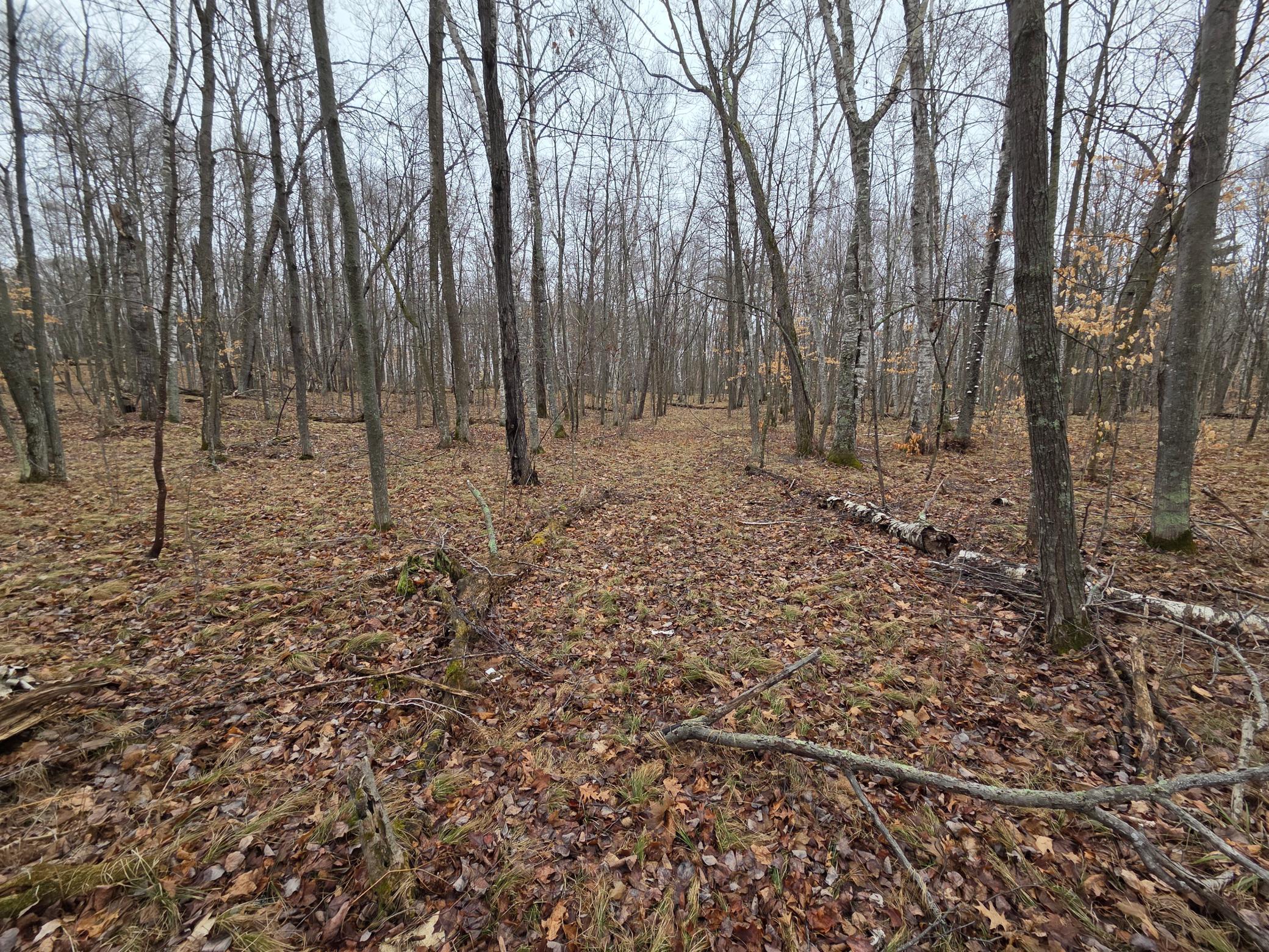 land for sale at TBD County 11 in Longville, MN