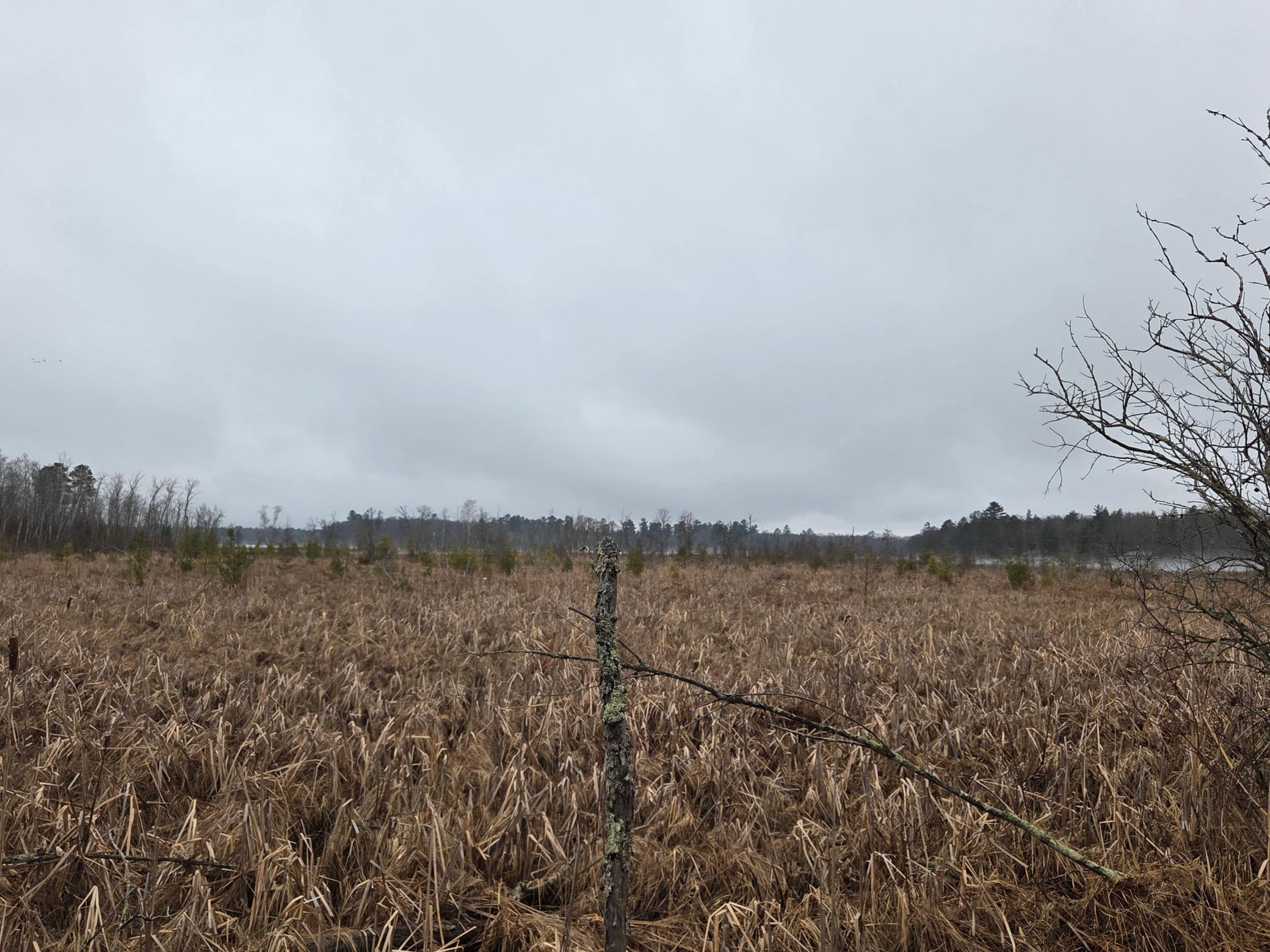 land for sale at TBD County 11 in Longville, MN (photo 11 of 14)