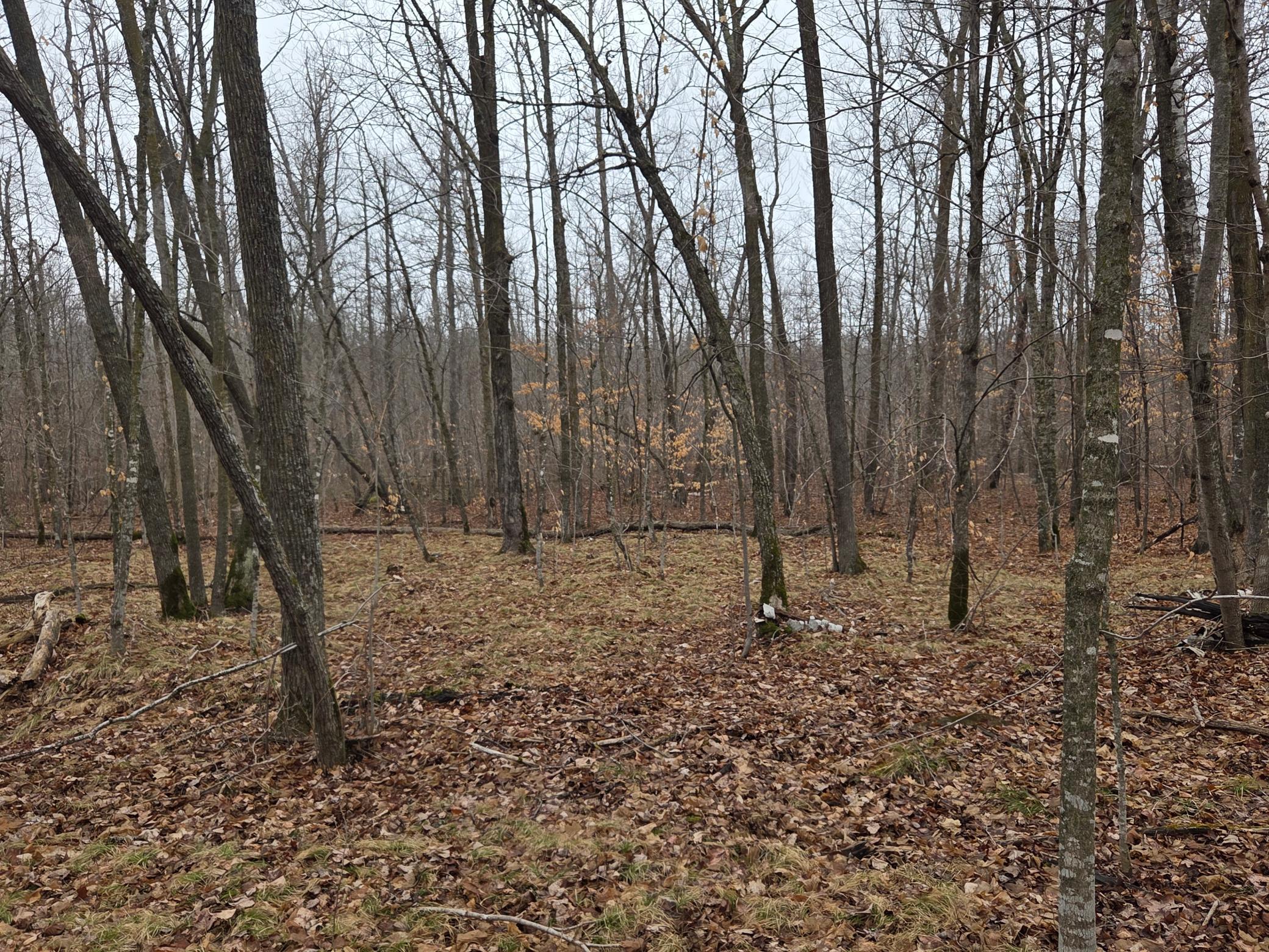 land for sale at TBD County 11 in Longville, MN (photo 12 of 14)