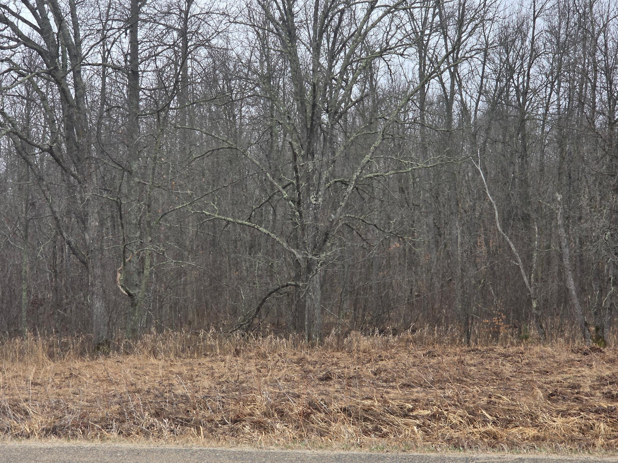 land for sale at TBD County 11 in Longville, MN (photo 13 of 14)