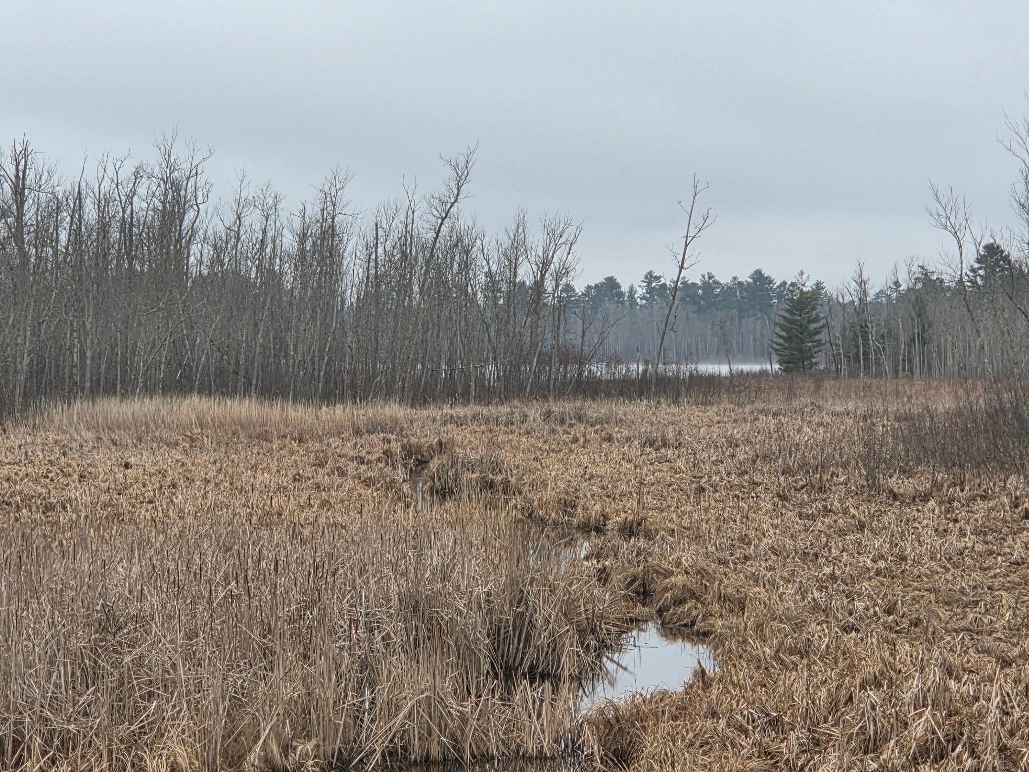 land for sale at TBD County 11 in Longville, MN (photo 14 of 14)