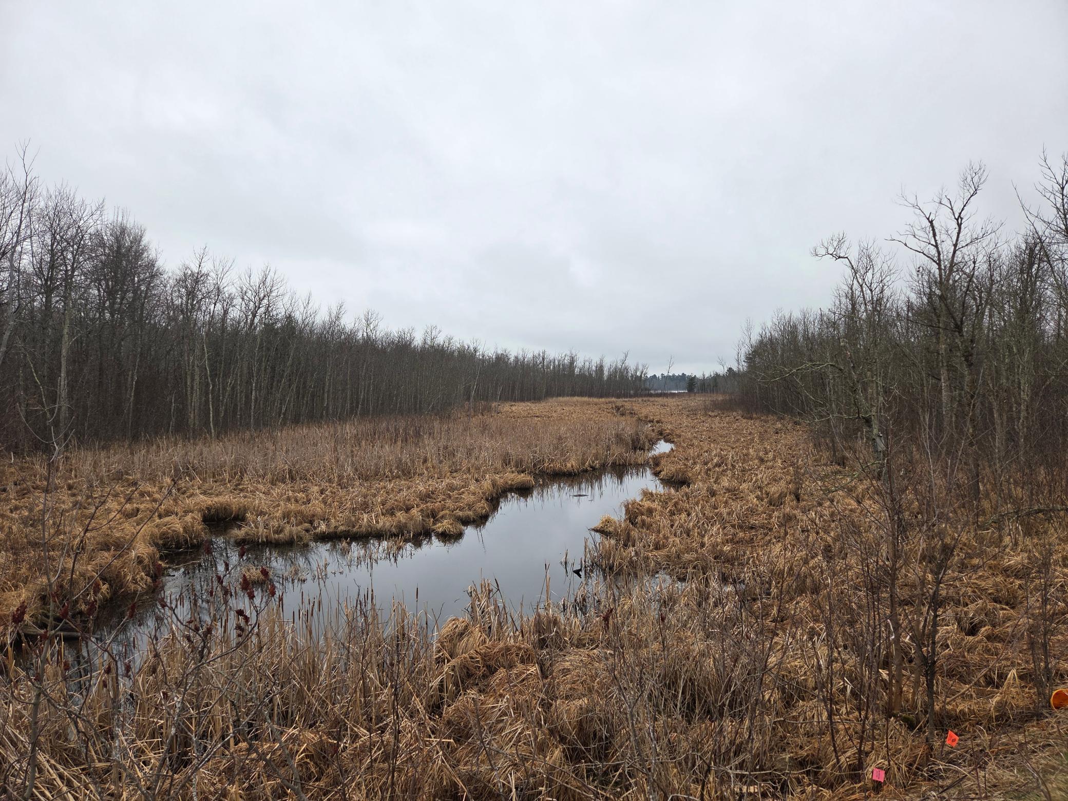land for sale at TBD County 11 in Longville, MN (photo 4 of 14)