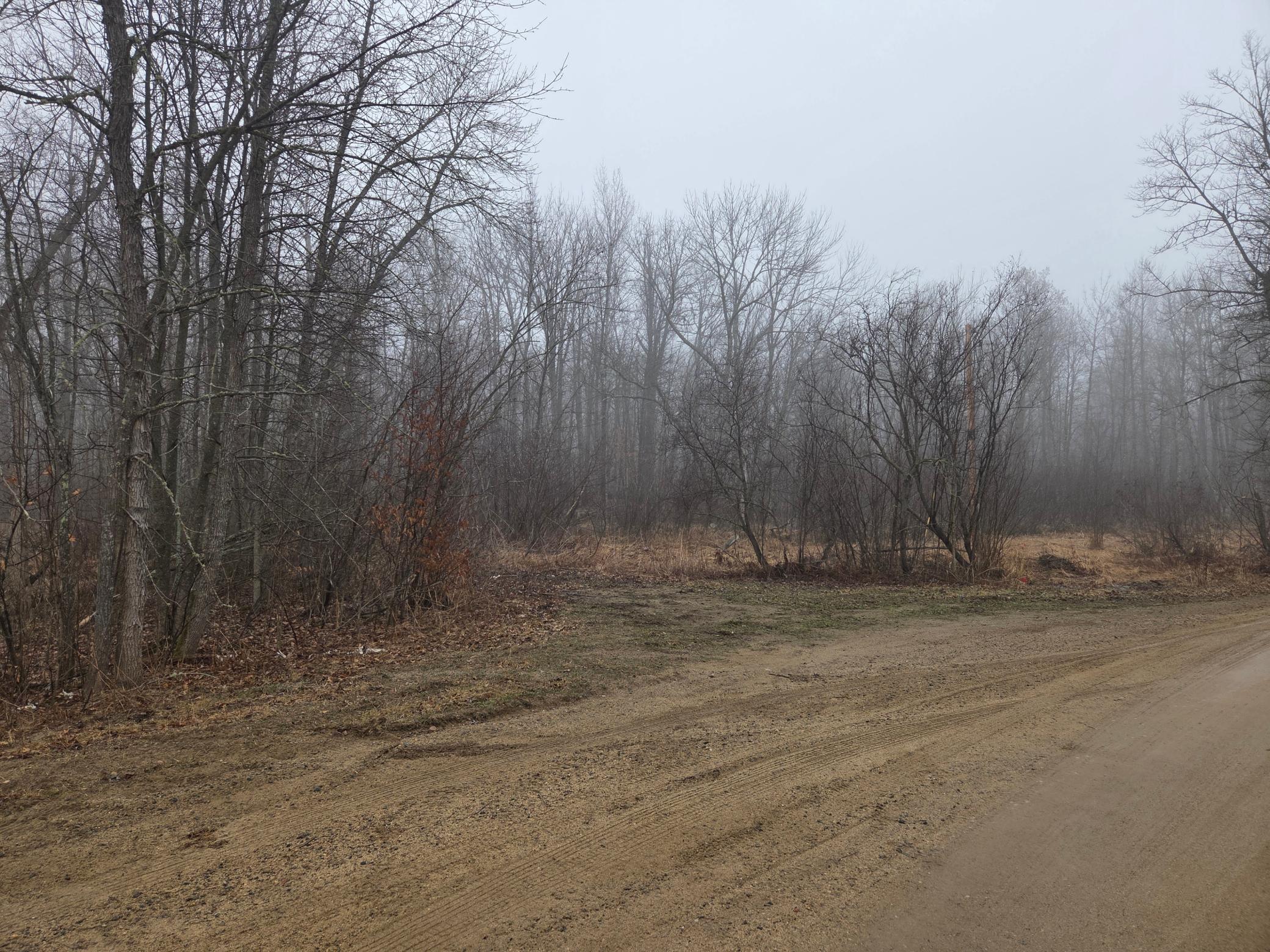 land for sale at TBD County 11 in Longville, MN (photo 5 of 14)