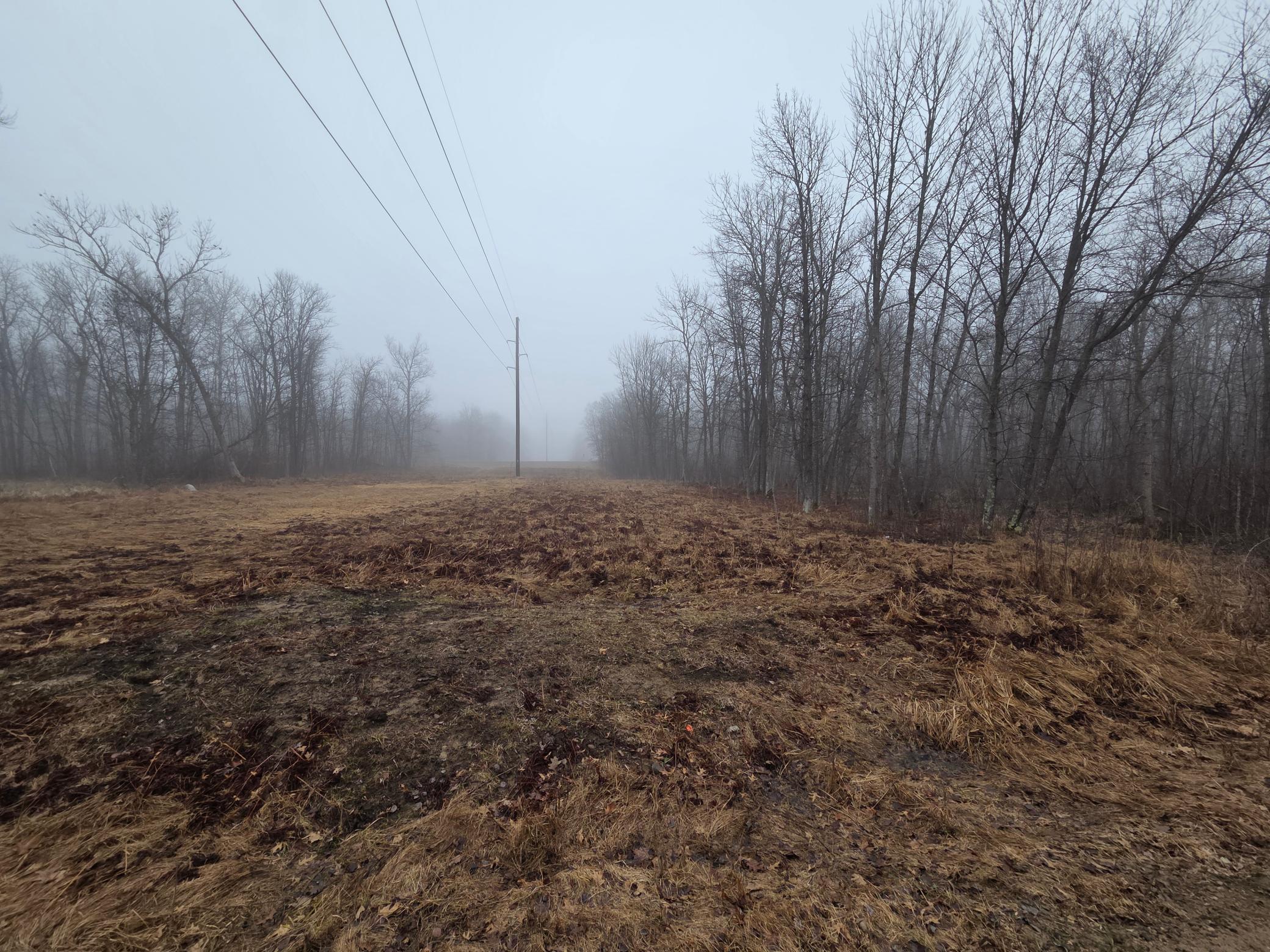 land for sale at TBD County 11 in Longville, MN (photo 8 of 14)