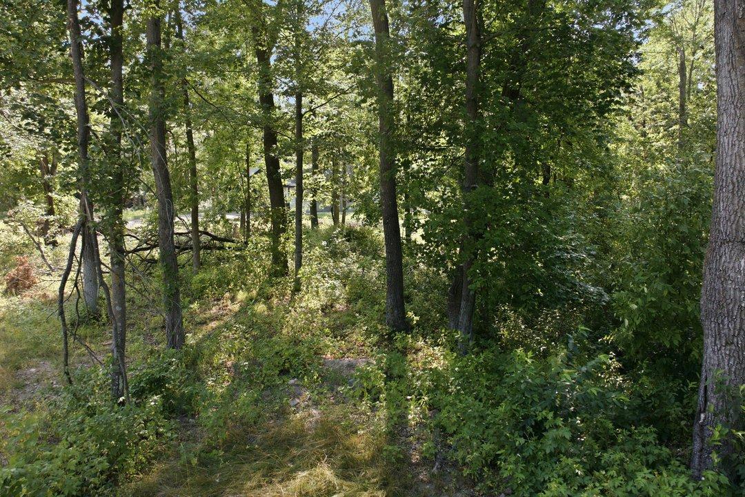 land for sale at TBD Maplewood Ridge Road in East Gull Lake, MN (photo 12 of 15)