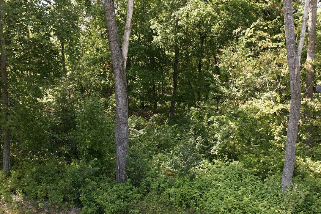 land for sale at TBD Maplewood Ridge Road in East Gull Lake, MN (photo 3 of 15)