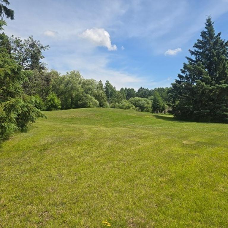 1920 land for sale at 37750 State Highway 65 in Nashwauk, MN