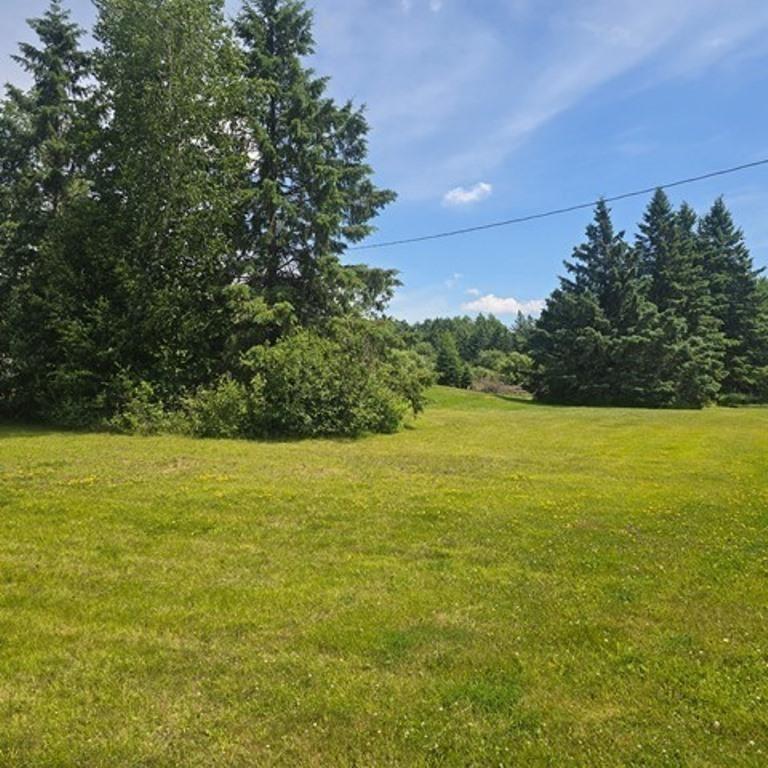 1920 land for sale at 37750 State Highway 65 in Nashwauk, MN (photo 2 of 8)