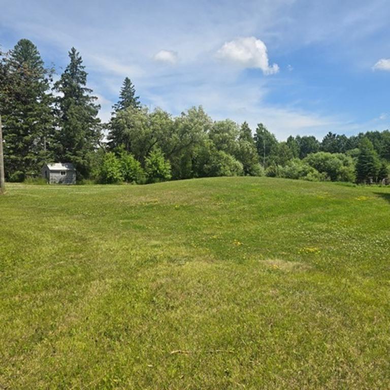 1920 land for sale at 37750 State Highway 65 in Nashwauk, MN (photo 3 of 8)