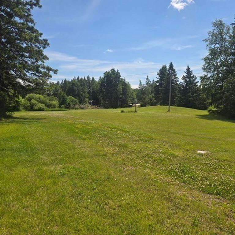 1920 land for sale at 37750 State Highway 65 in Nashwauk, MN (photo 4 of 8)