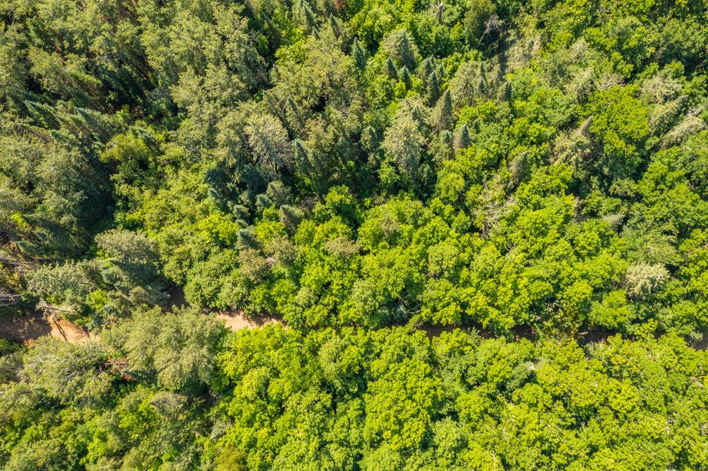 land for sale at 575 S Lake Lawrence Road NE in Outing, MN (photo 12 of 21)