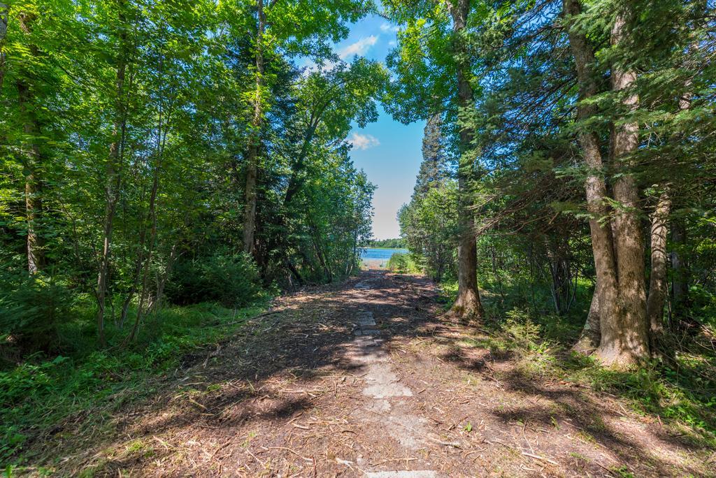 land for sale at 575 S Lake Lawrence Road NE in Outing, MN (photo 14 of 21)