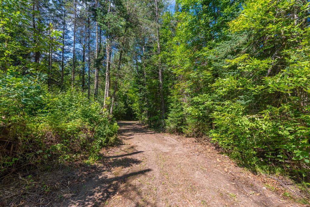 land for sale at 575 S Lake Lawrence Road NE in Outing, MN (photo 15 of 21)