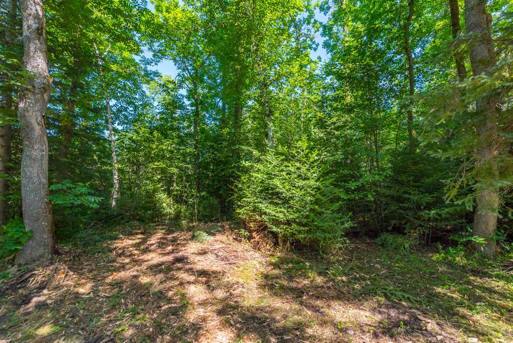 land for sale at 575 S Lake Lawrence Road NE in Outing, MN (photo 17 of 21)