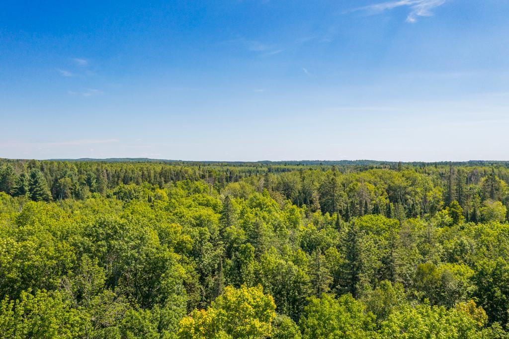 land for sale at 575 S Lake Lawrence Road NE in Outing, MN (photo 20 of 21)