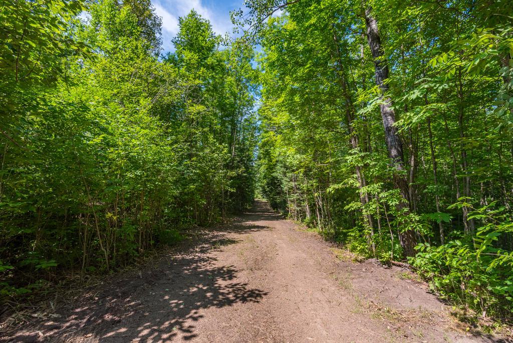 land for sale at 575 S Lake Lawrence Road NE in Outing, MN (photo 8 of 21)