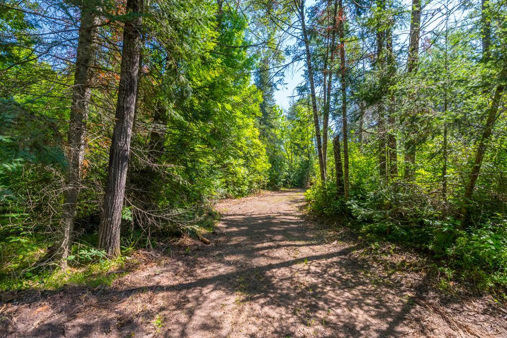 land for sale at 575 S Lake Lawrence Road NE in Outing, MN (photo 9 of 21)