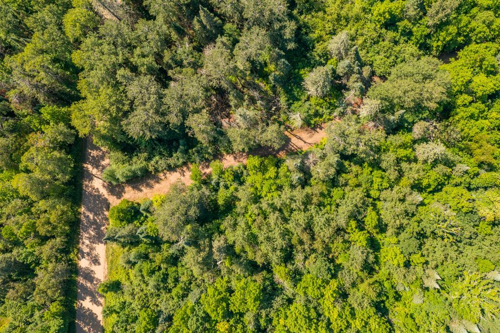 land for sale at 575 S Lake Lawrence Road NE in Outing, MN (photo 10 of 21)