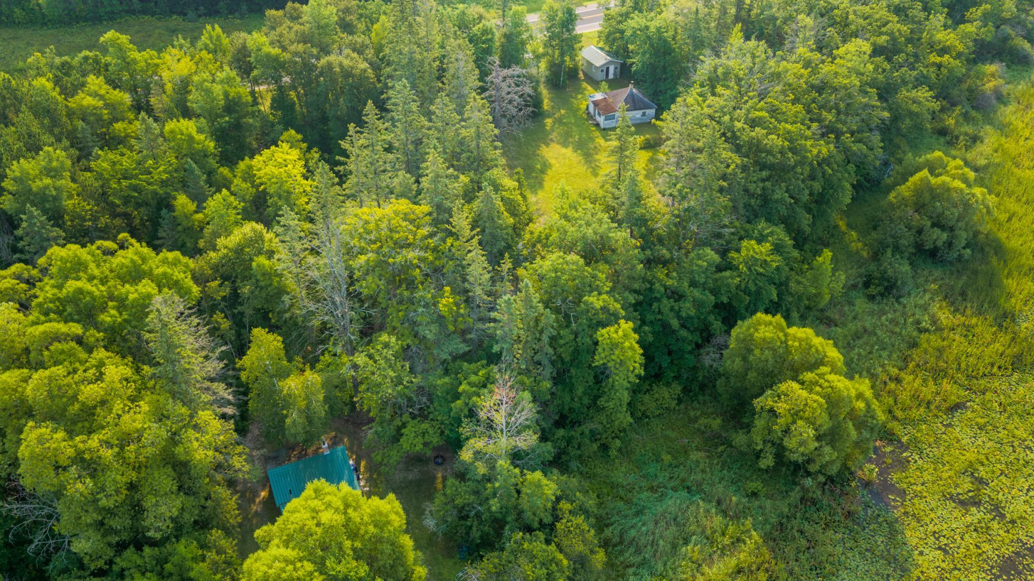 1930 single family home for sale at 18421 Irvine Avenue NW in Bemidji, MN — 1 bed, 0 bath (photo 4 of 25)
