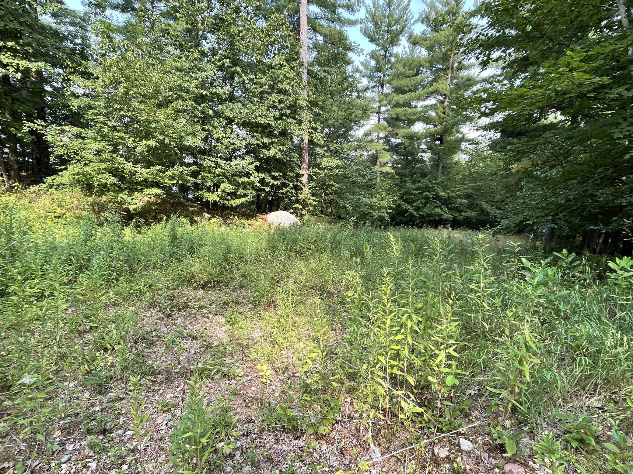 16574 Riverside Drive, Brainerd MN 56401 - Photo 41 of 48