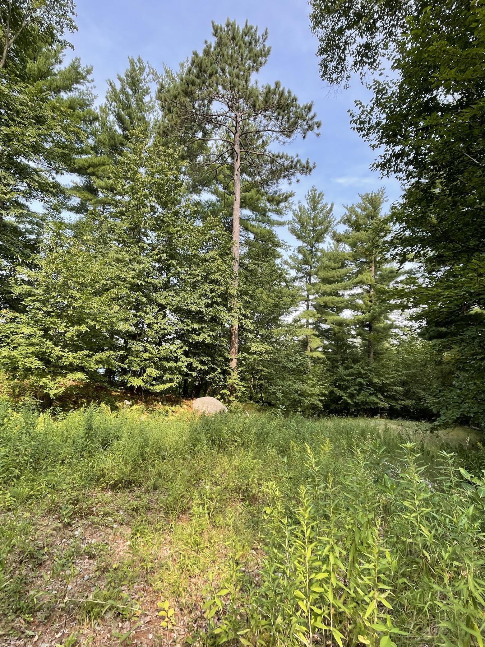 16574 Riverside Drive, Brainerd MN 56401 - Photo 42 of 48