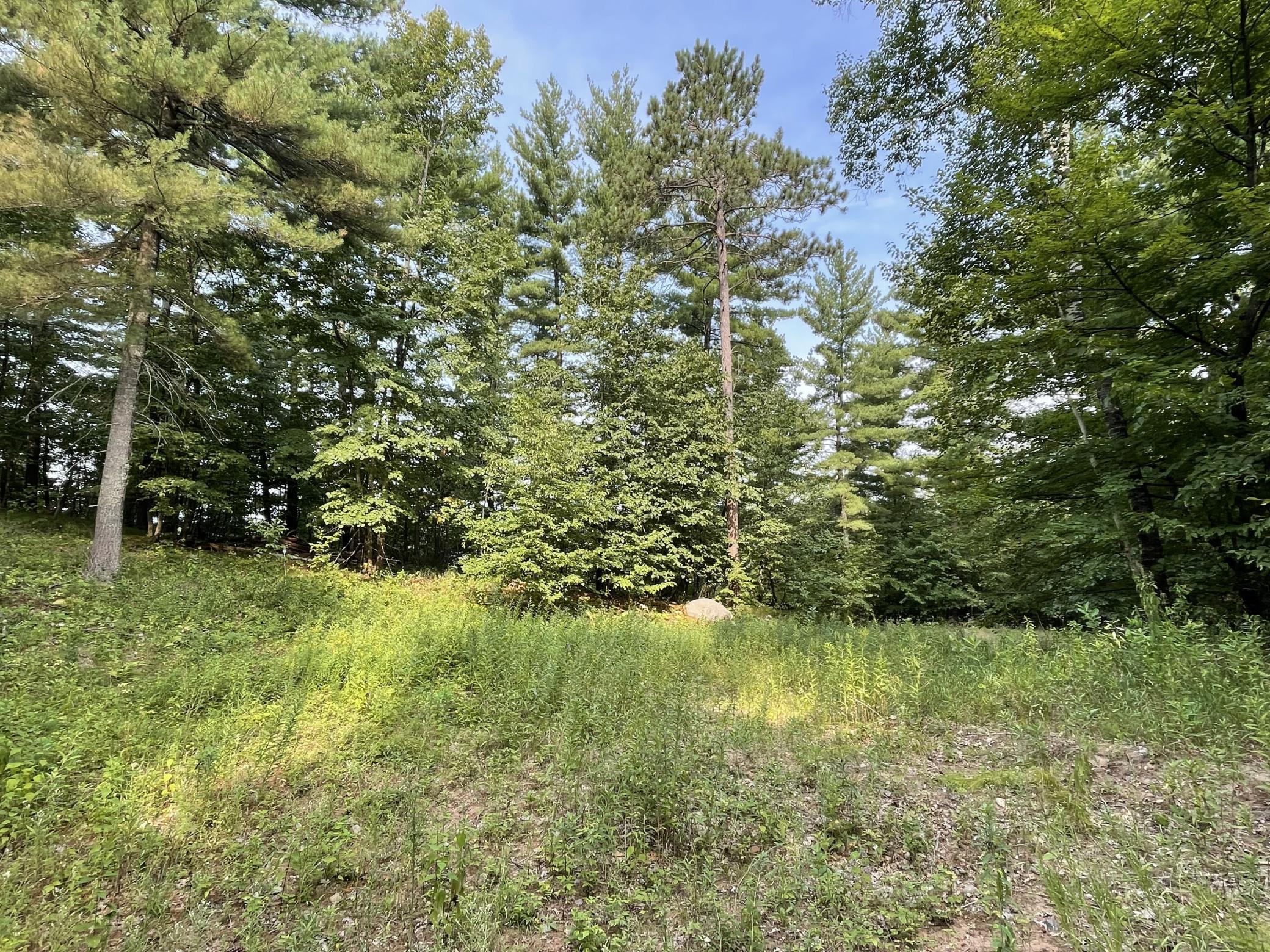 16574 Riverside Drive, Brainerd MN 56401 - Photo 7 of 48