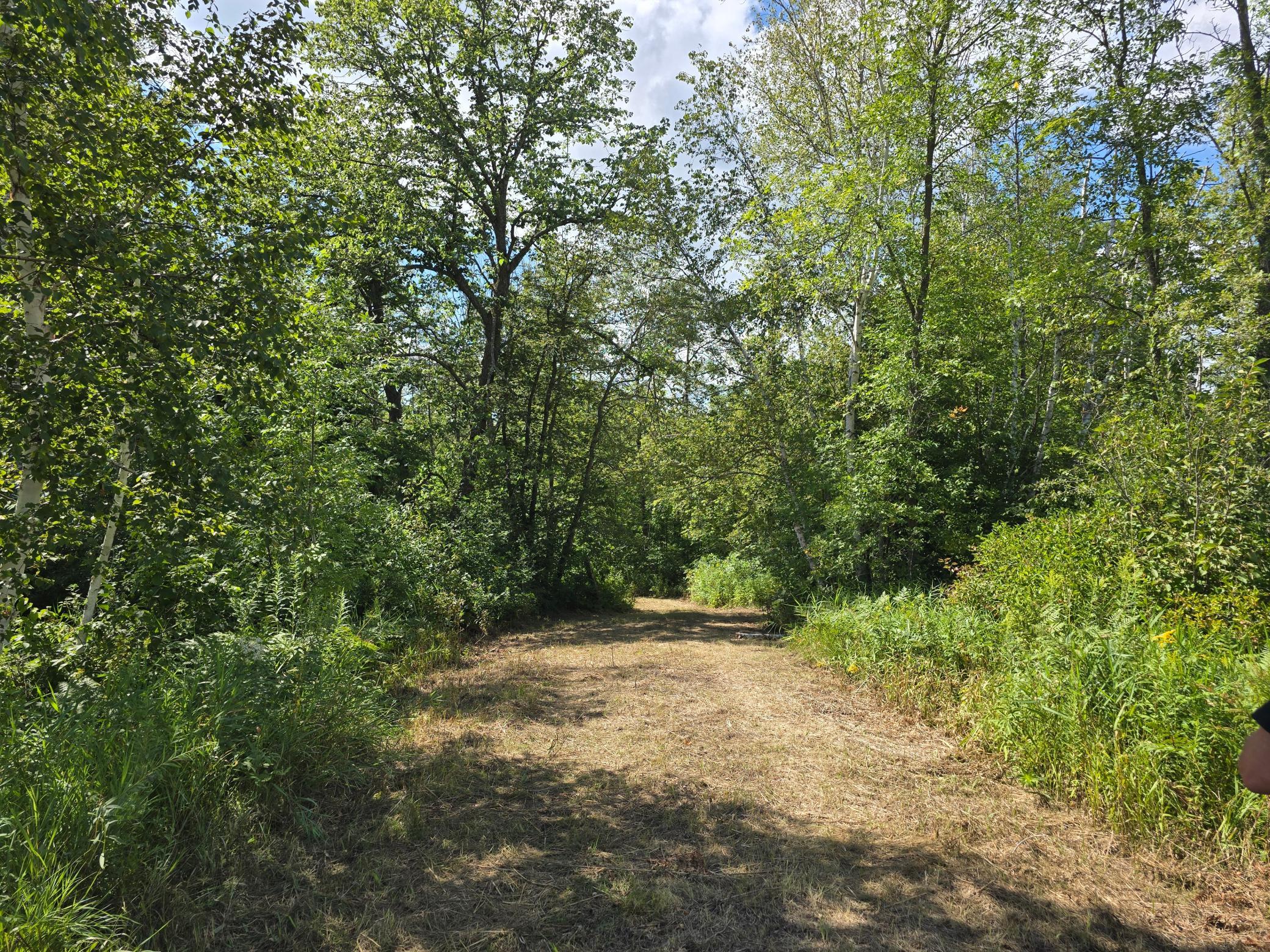 1986 land for sale at 13769 188th Place in Mc Grath, MN (photo 11 of 15)