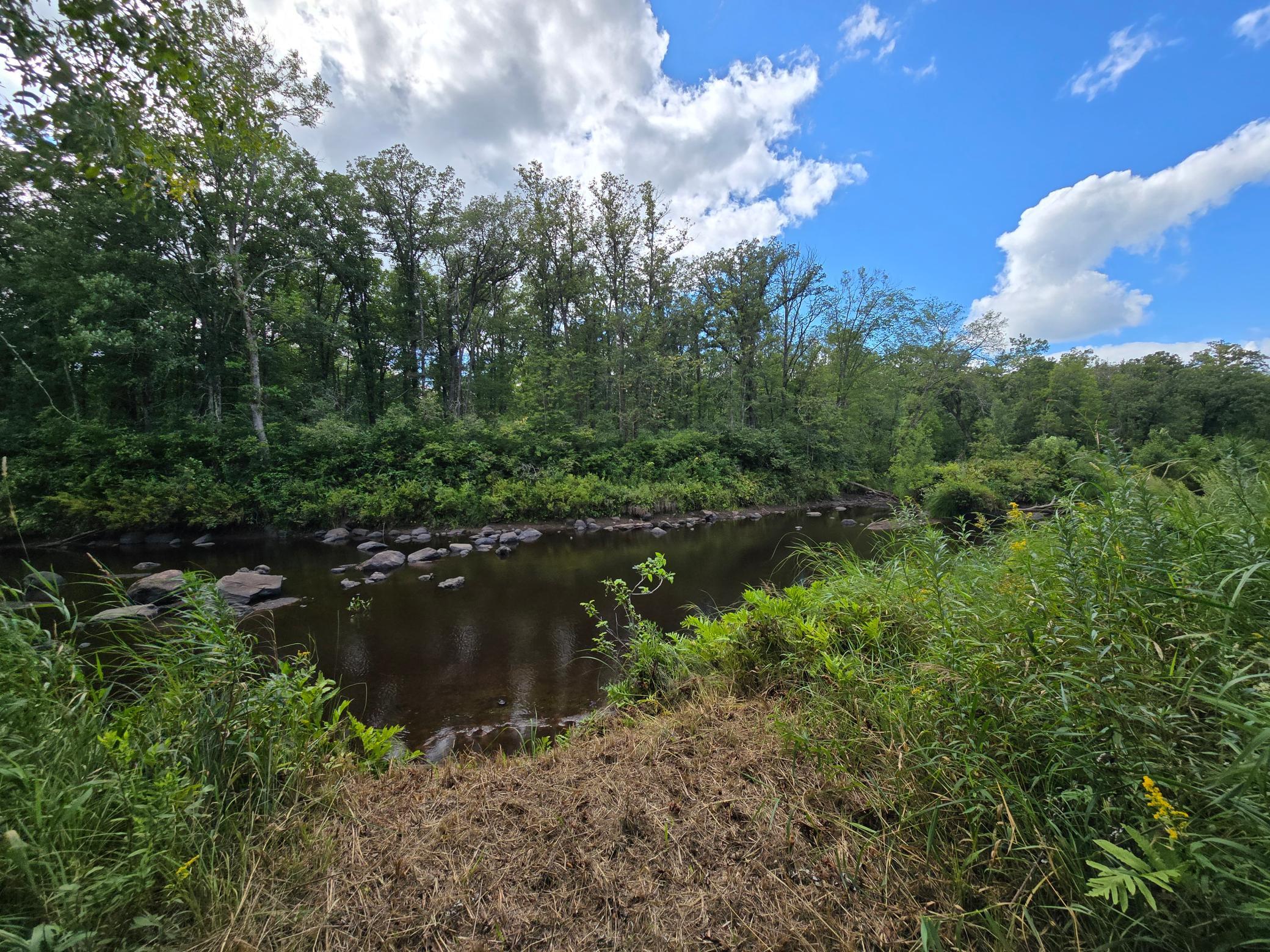 1986 land for sale at 13769 188th Place in Mc Grath, MN (photo 12 of 15)
