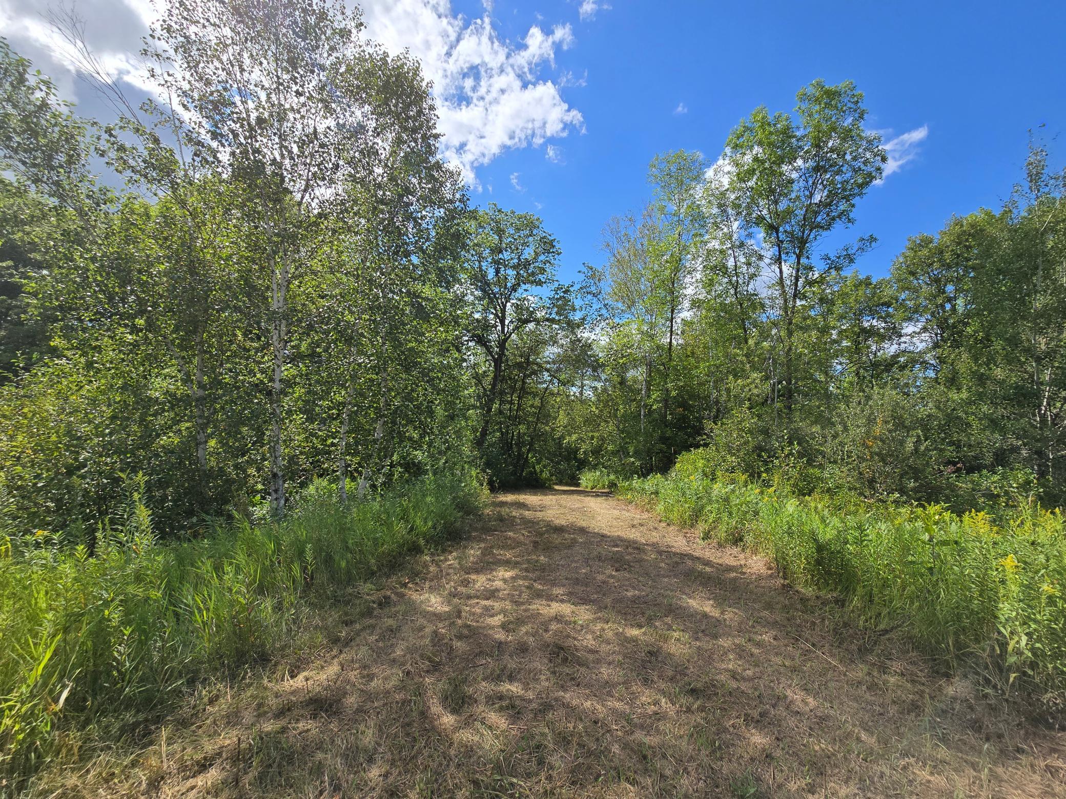 1986 land for sale at 13769 188th Place in Mc Grath, MN (photo 3 of 15)