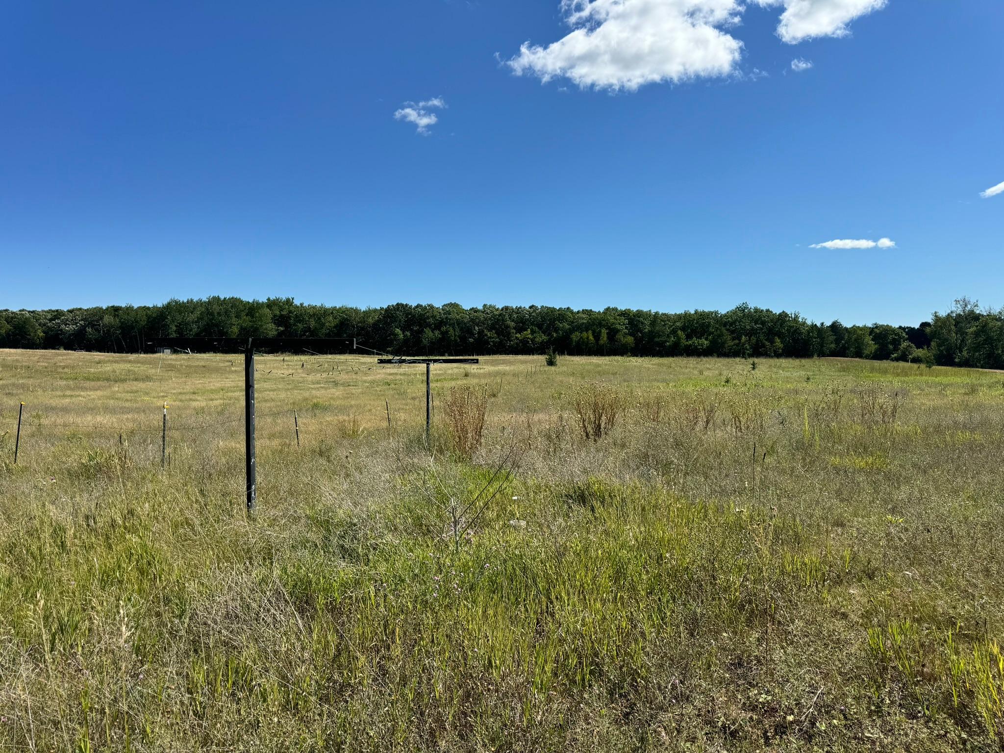 1976 land for sale at 22315 Daisy Road in Nevis, MN (photo 2 of 7)
