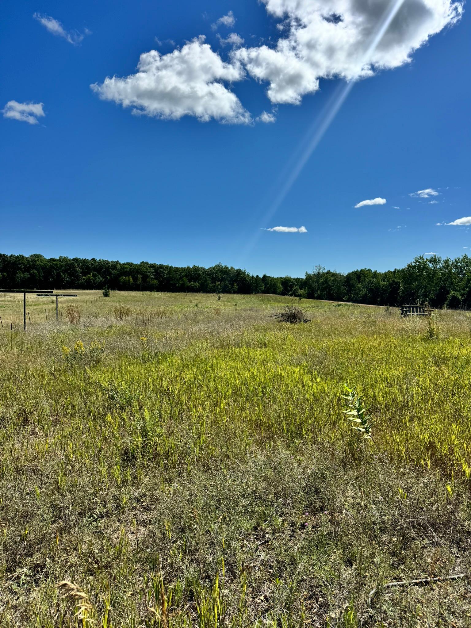 1976 land for sale at 22315 Daisy Road in Nevis, MN (photo 3 of 7)
