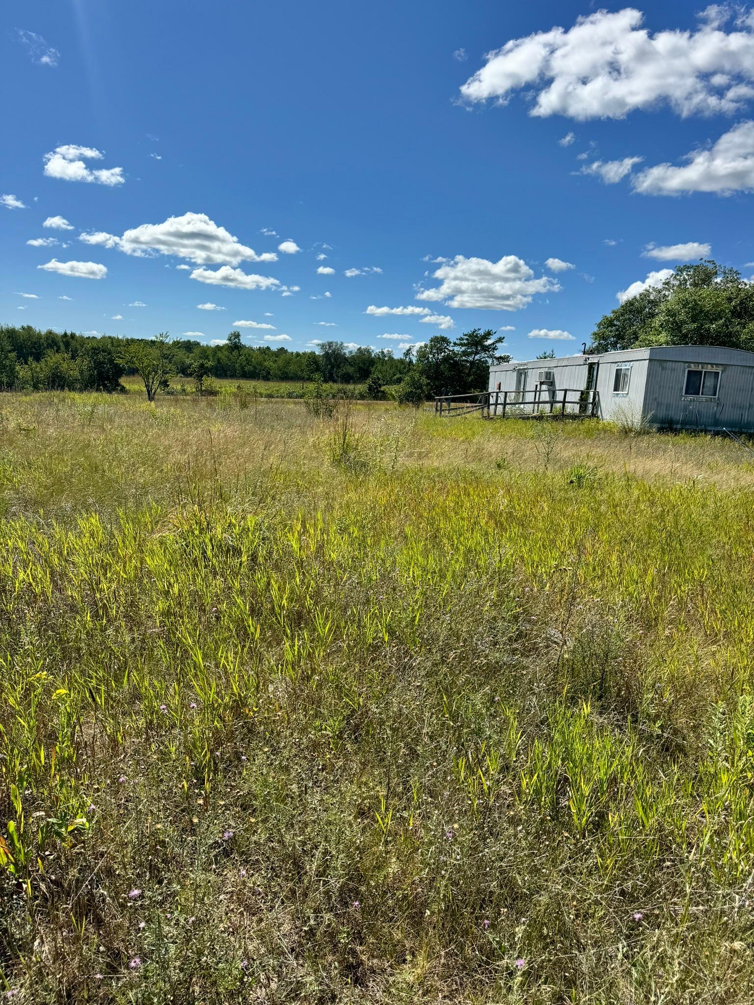 1976 land for sale at 22315 Daisy Road in Nevis, MN (photo 4 of 7)
