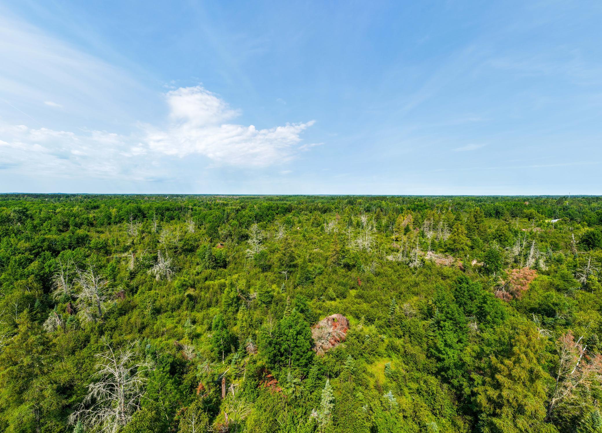 land for sale at TBD Irvine Avenue in Bemidji, MN (photo 12 of 19)