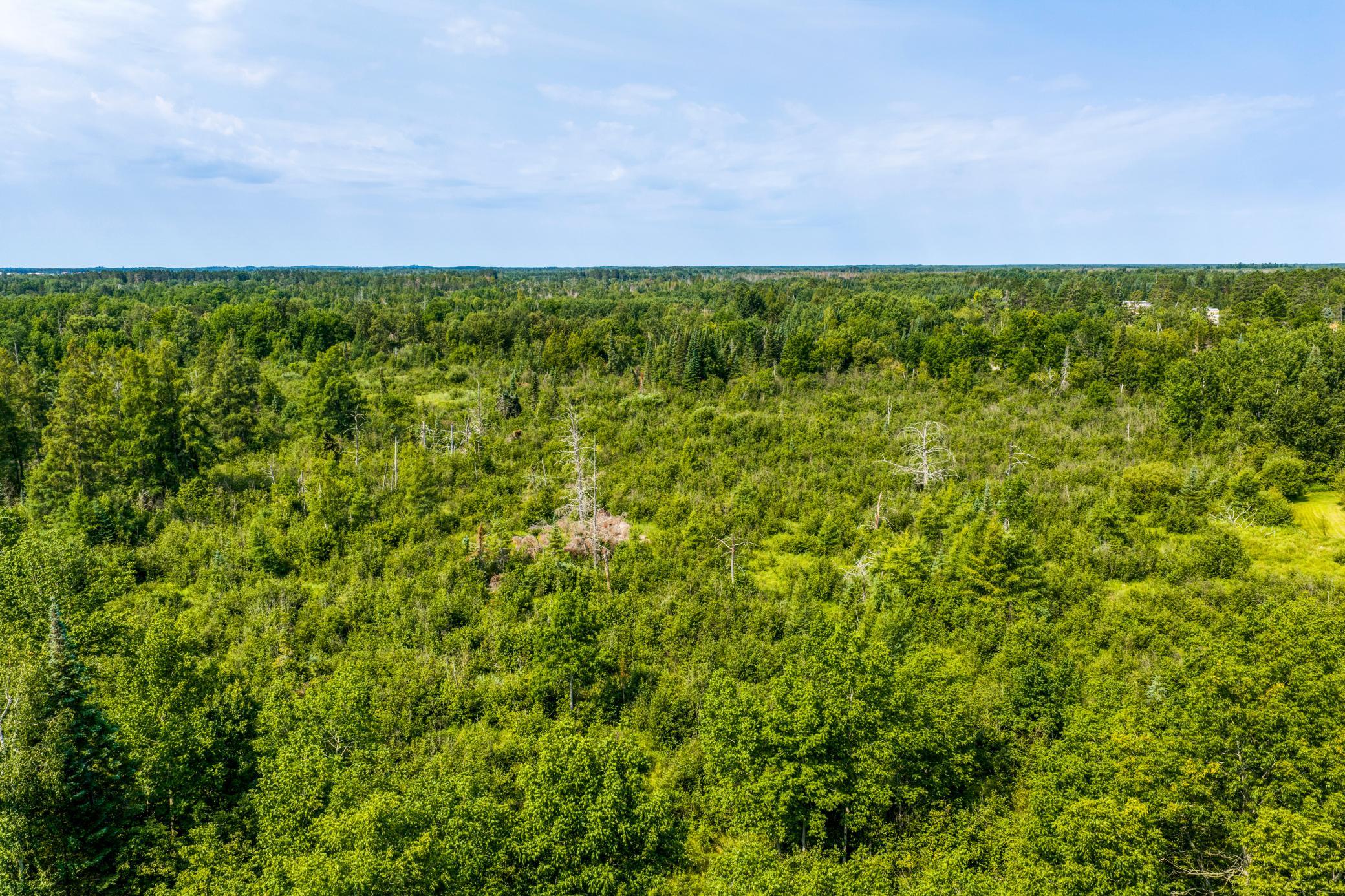 land for sale at TBD Irvine Avenue in Bemidji, MN (photo 3 of 19)