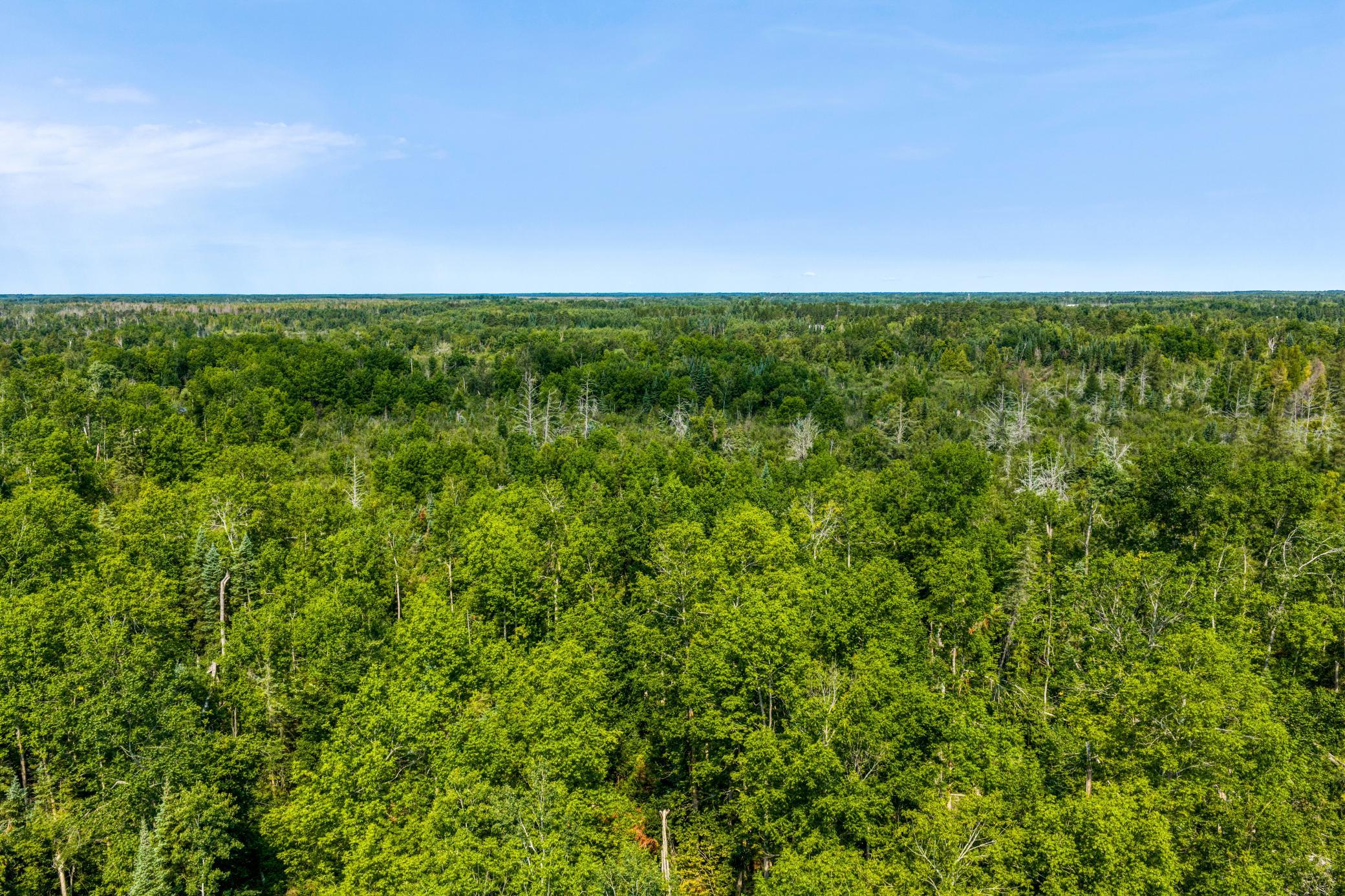 land for sale at TBD Irvine Avenue in Bemidji, MN (photo 4 of 19)