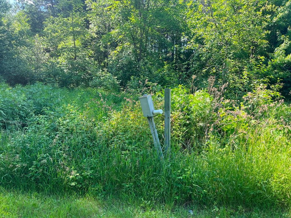 1994 land for sale at 53131 Little Spring Road in Spring Lake, MN (photo 4 of 15)
