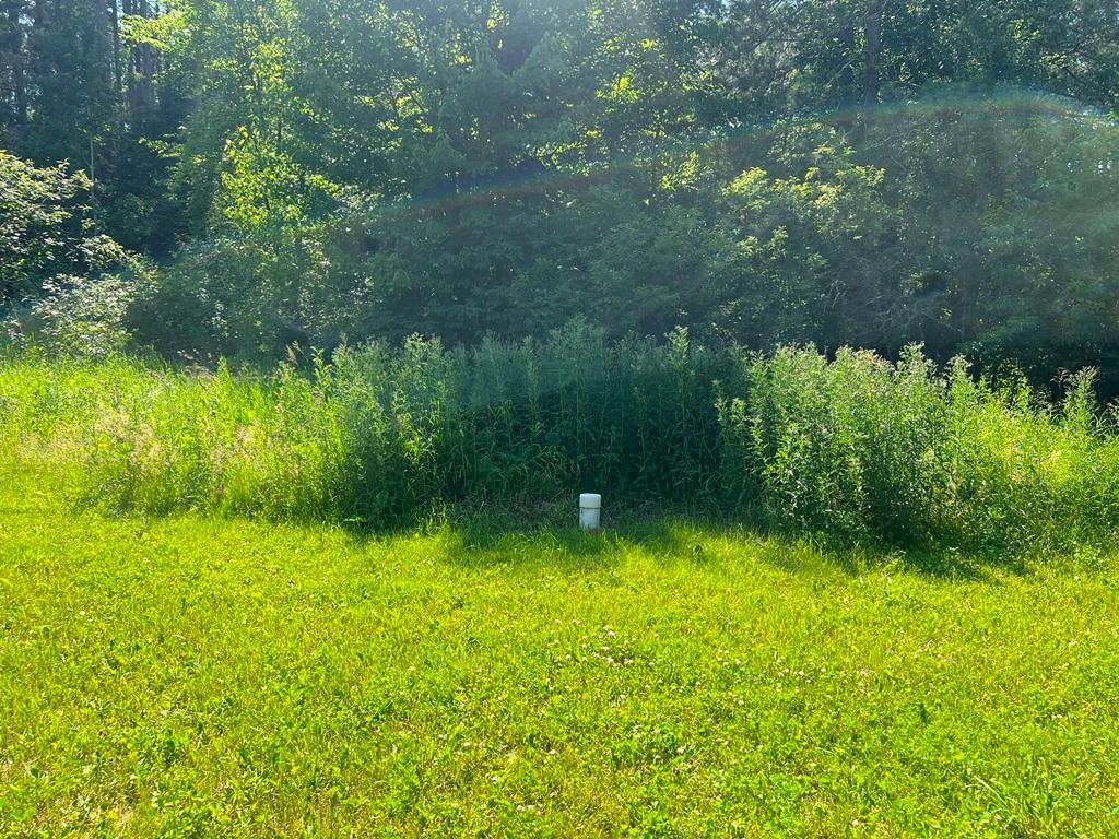 1994 land for sale at 53131 Little Spring Road in Spring Lake, MN (photo 5 of 15)