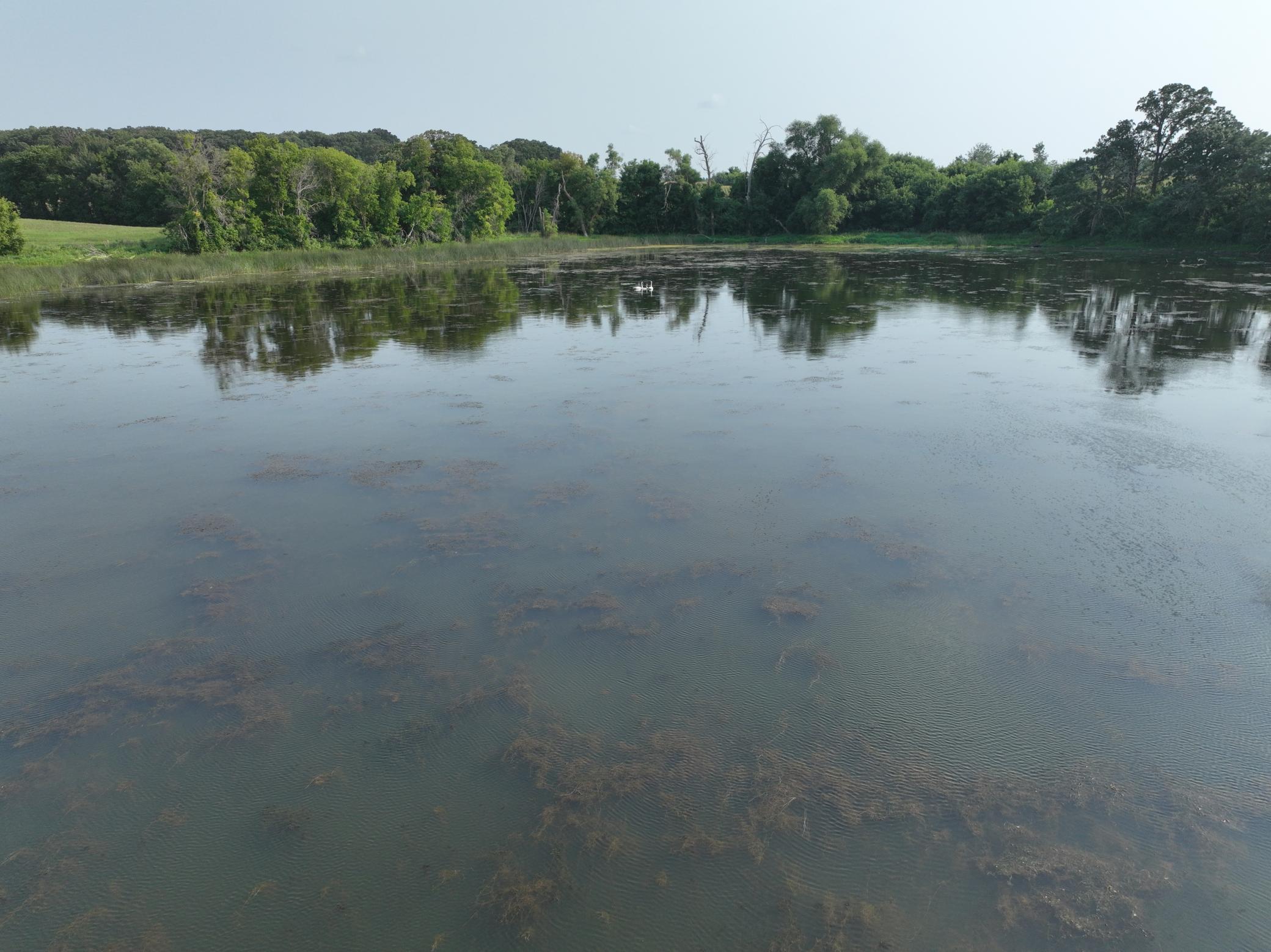 land for sale at xxx 400th Ave in Evansville, MN (photo 6 of 10)