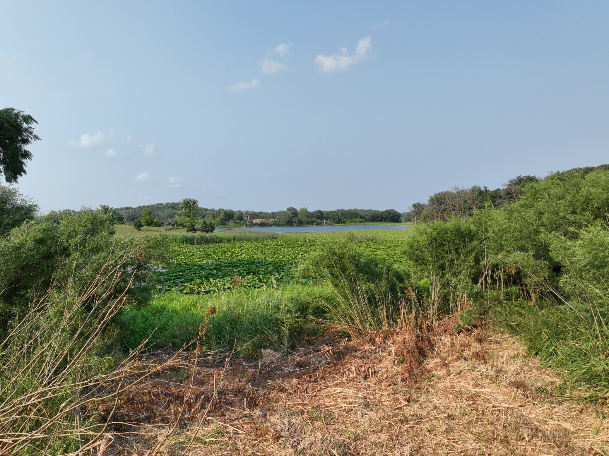 land for sale at xxx 400th Ave in Evansville, MN (photo 10 of 10)