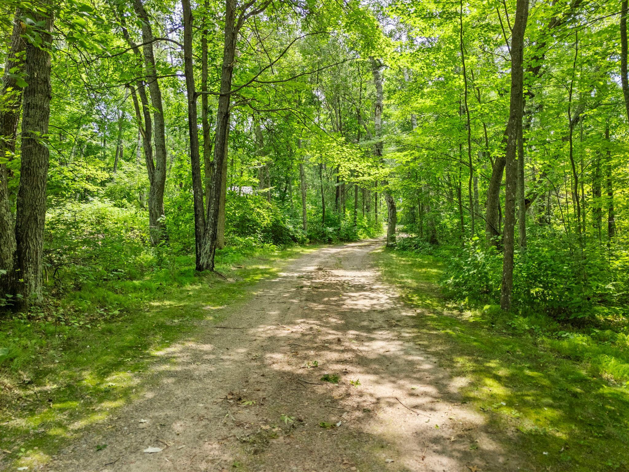 1981 single family home for sale at 14488 Pine Bay Trail in Crosslake, MN — 3 bed, 2 bath (photo 8 of 115)