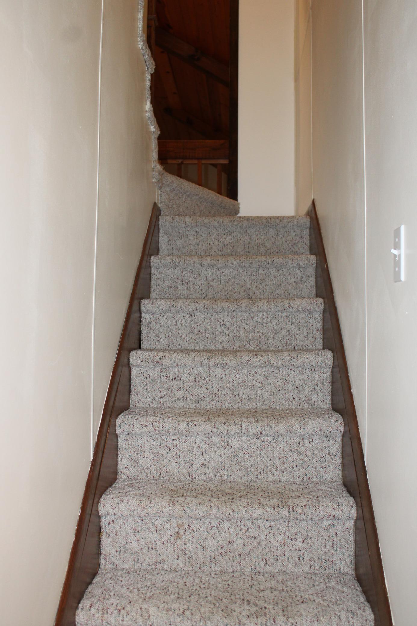 1917 single family home for sale at 17262 130th Avenue NE in Thief River Falls, MN — 4 bed, 3 bath (photo 26 of 56)