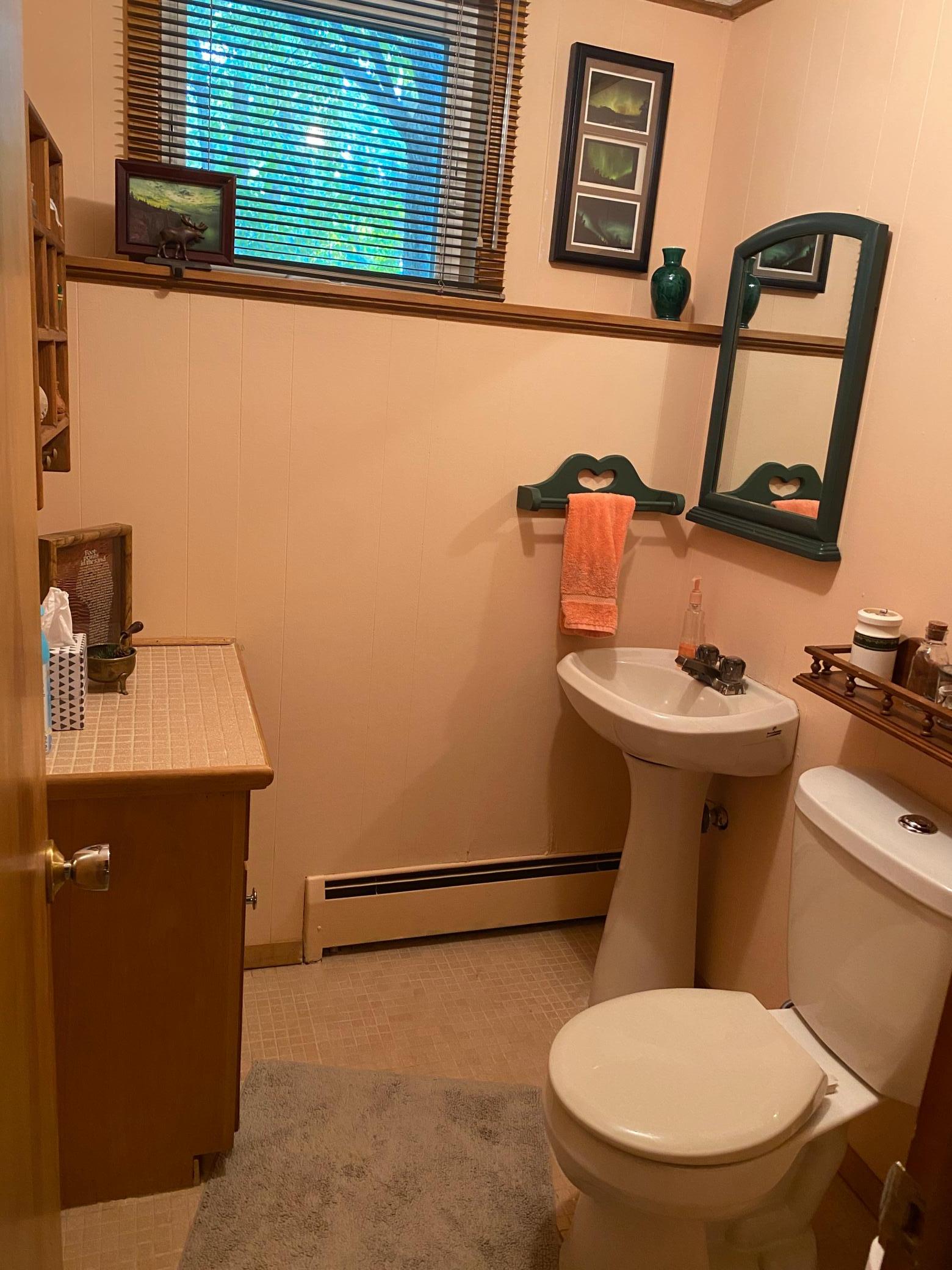 1963 single family home for sale at 1119 Lake Street in Alexandria, MN — 4 bed, 3 bath (photo 22 of 27)