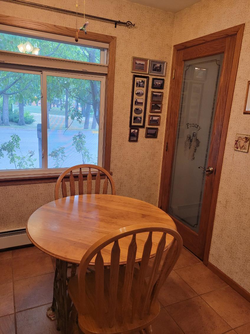 1963 single family home for sale at 1119 Lake Street in Alexandria, MN — 4 bed, 3 bath (photo 17 of 41)
